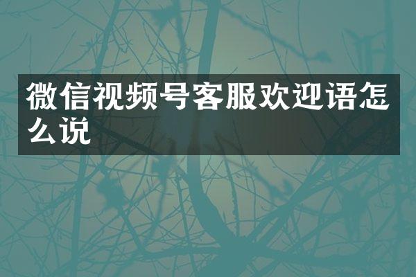 微信视频号客服欢迎语怎么说