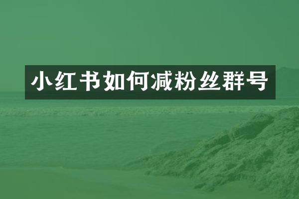 小红书如何减粉丝群号