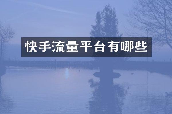 快手流量平台有哪些