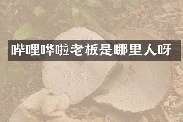 哔哩哗啦老板是哪里人呀