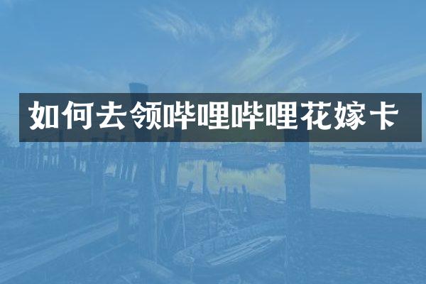 如何去领哔哩哔哩花嫁卡