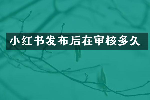 小红书发布后在审核多久