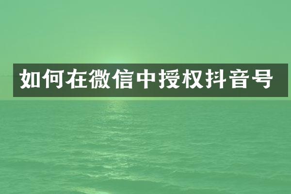 如何在微信中授权抖音号
