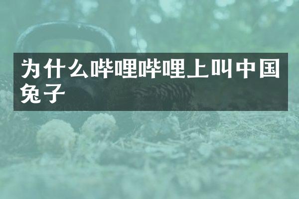 为什么哔哩哔哩上叫中国兔子