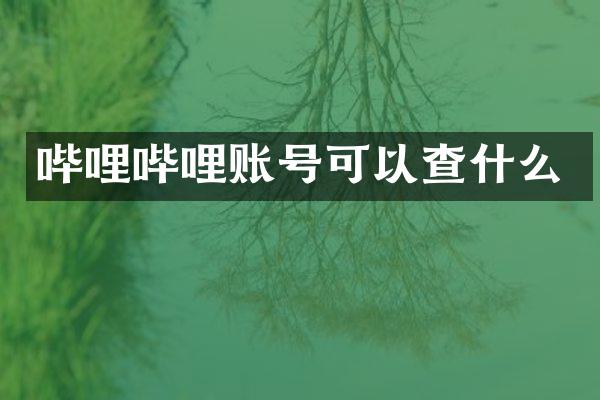 哔哩哔哩账号可以查什么