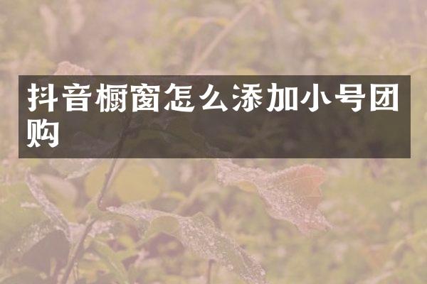 抖音橱窗怎么添加小号团购