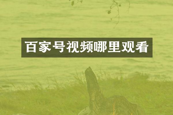 百家号视频哪里观看