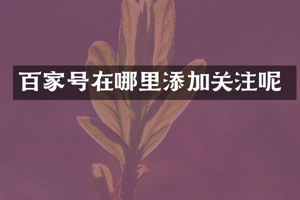 百家号在哪里添加关注呢