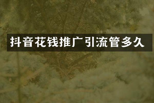抖音花钱推广引流管多久
