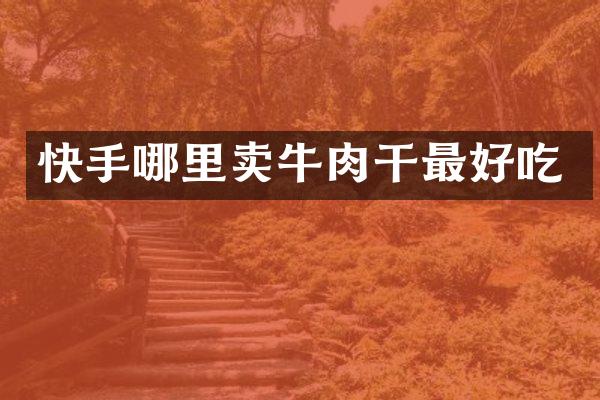 快手哪里卖牛肉干最好吃