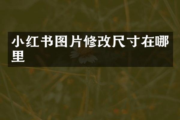 小红书图片修改尺寸在哪里