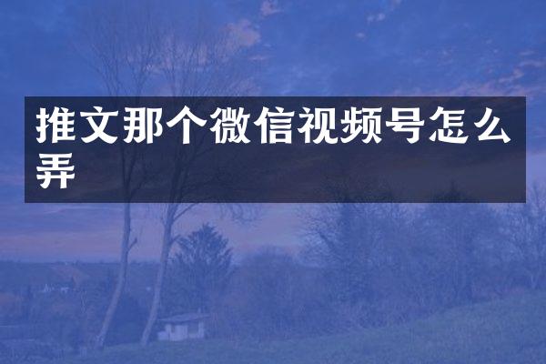推文那个微信视频号怎么弄