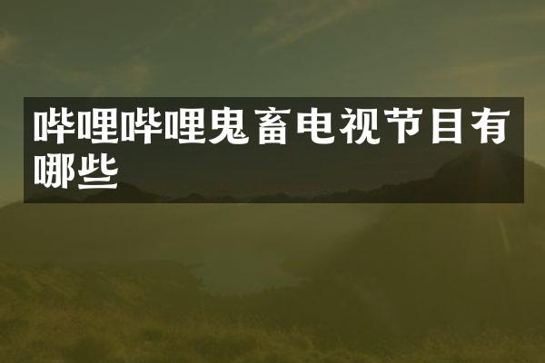 哔哩哔哩鬼畜电视节目有哪些