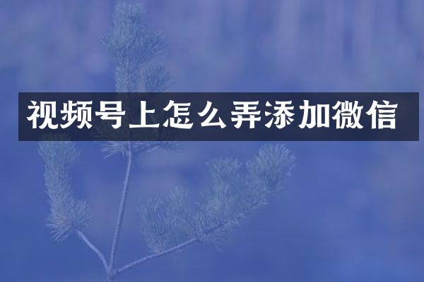 视频号上怎么弄添加微信