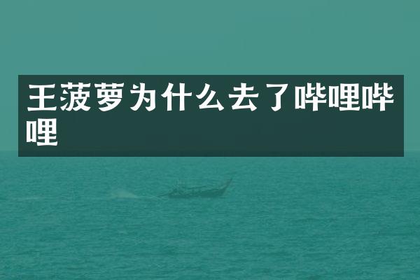 王菠萝为什么去了哔哩哔哩