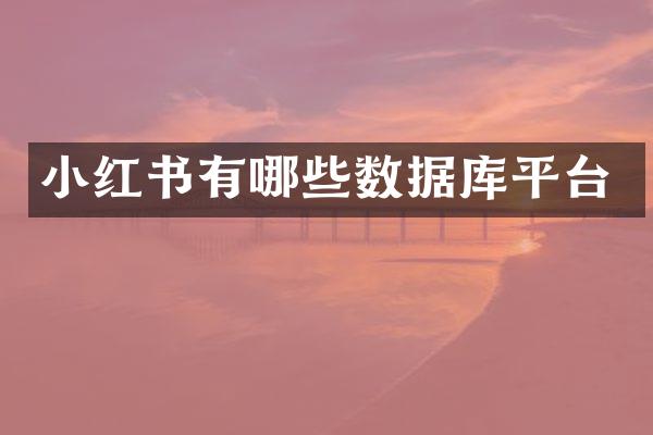 小红书有哪些数据库平台