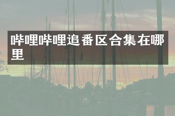 哔哩哔哩追番区在哪里