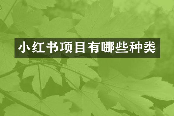 小红书项目有哪些种类