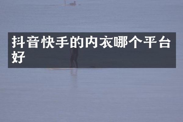 抖音快手的内衣哪个平台好