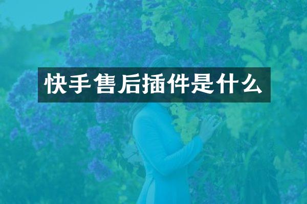 快手售后插件是什么