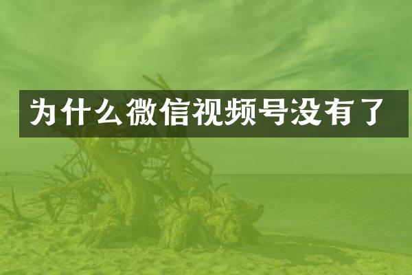 为什么微信视频号没有了