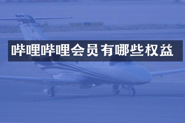 哔哩哔哩会员有哪些权益