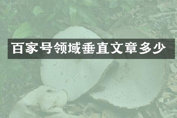 百家号领域垂直文章多少