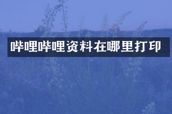 哔哩哔哩资料在哪里打印