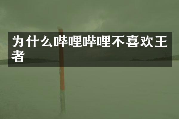 为什么哔哩哔哩不喜欢王者