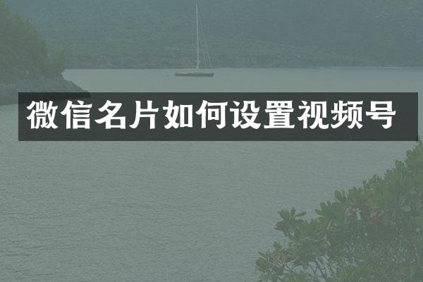 微信名片如何设置视频号