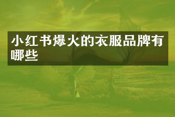 小红书爆火的衣服品牌有哪些