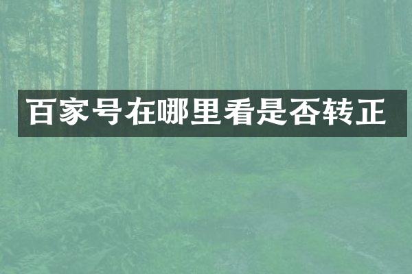 百家号在哪里看是否转正