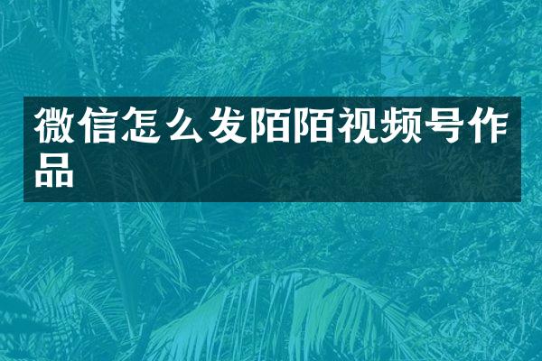 微信怎么发陌陌视频号作品
