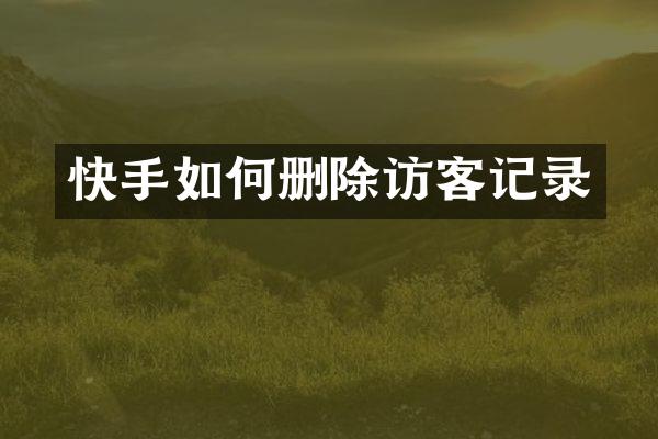 快手如何删除访客记录