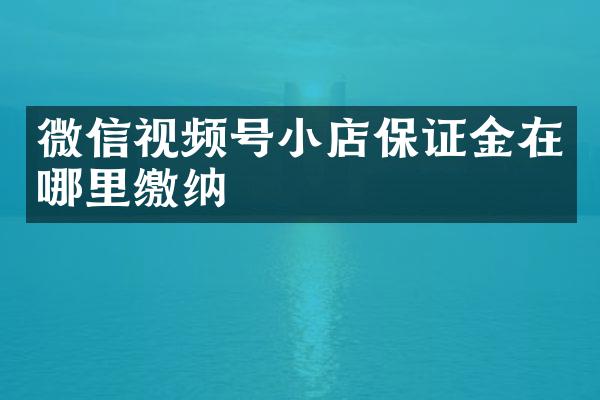微信视频号小店保证金在哪里缴纳