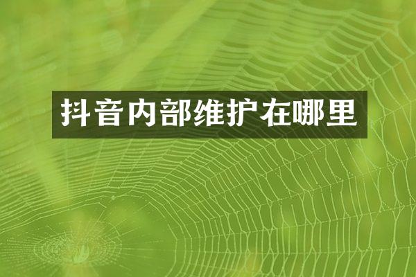 抖音内部维护在哪里