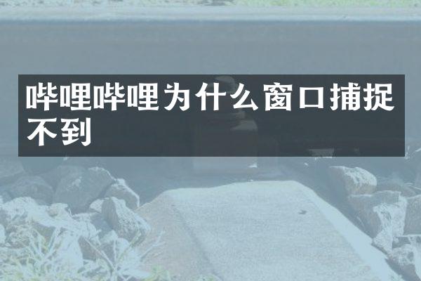 哔哩哔哩为什么窗口捕捉不到