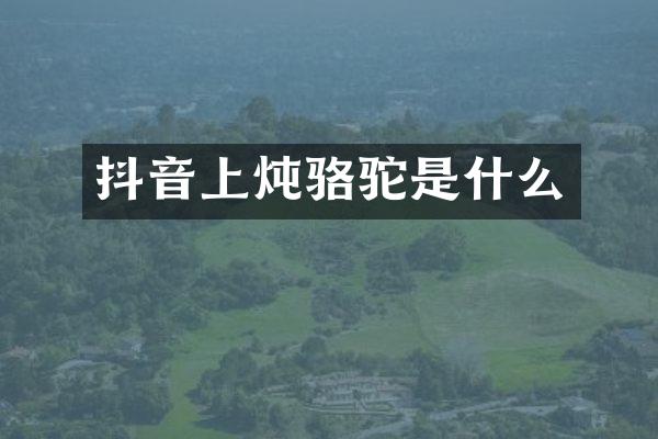 抖音上炖骆驼是什么