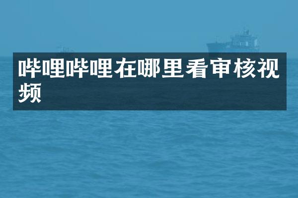 哔哩哔哩在哪里看审核视频