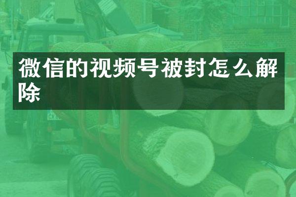 微信的视频号被封怎么解除