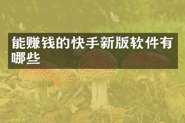 能赚钱的快手新版软件有哪些