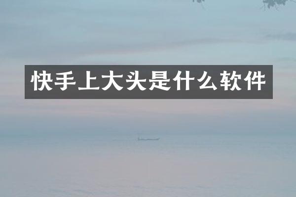 快手上大头是什么软件