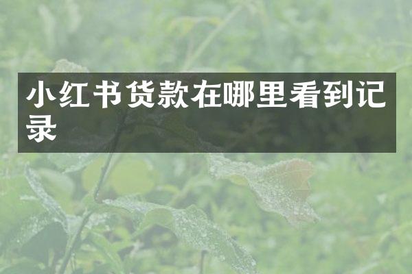 小红书货款在哪里看到记录
