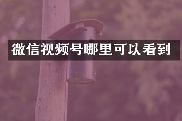 微信视频号哪里可以看到