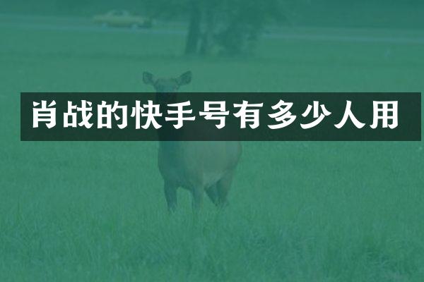 肖战的快手号有多少人用