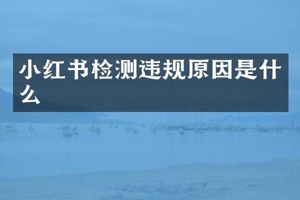 小红书检测违规原因是什么