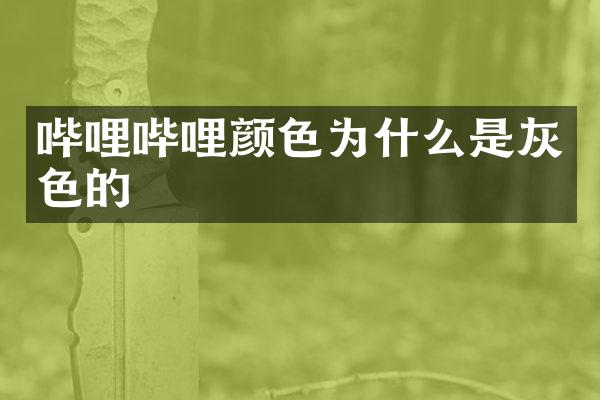 哔哩哔哩颜色为什么是灰色的