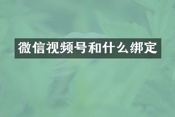 微信视频号和什么绑定