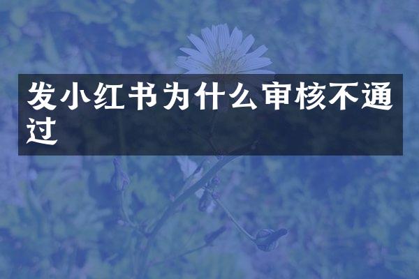 发小红书为什么审核不通过