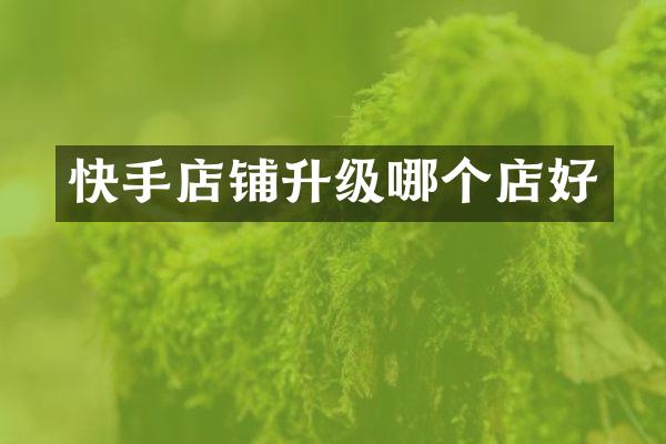 快手店铺升级哪个店好